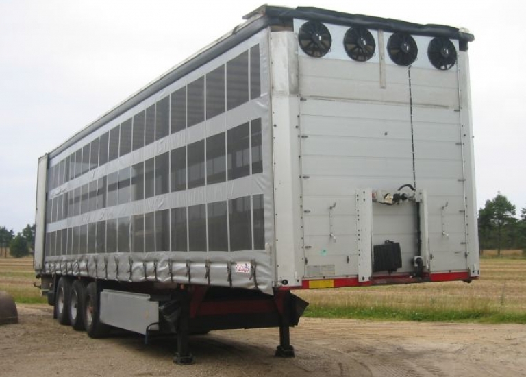 Trailer dyrtransport